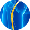 sciatica icon